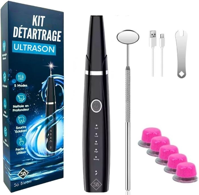 So Bleam Dental Descaling Kit